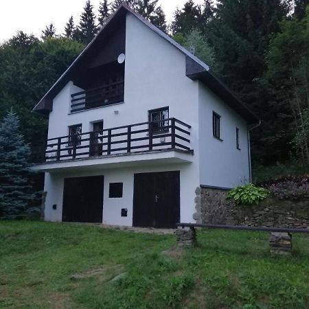 Chata Na Lipne Lipno nad Vltavou Εξωτερικό φωτογραφία